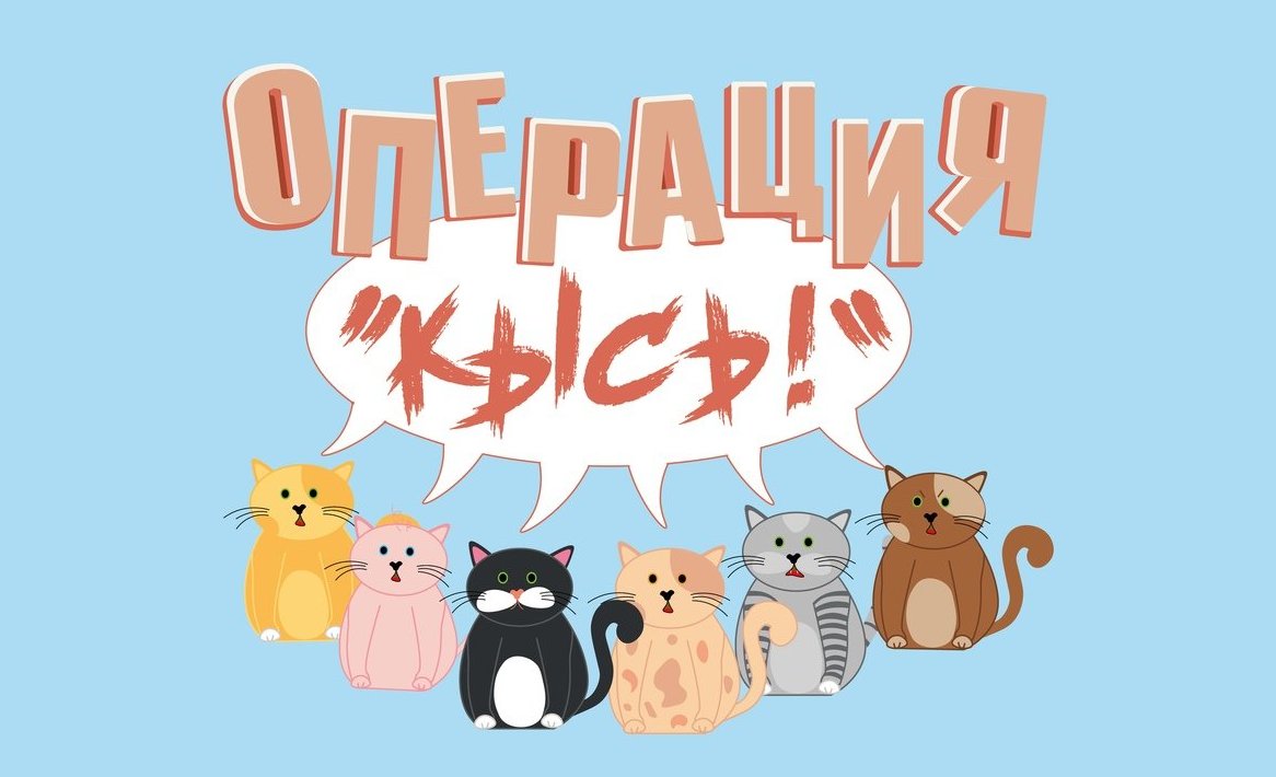 Настольная игра «Операция 